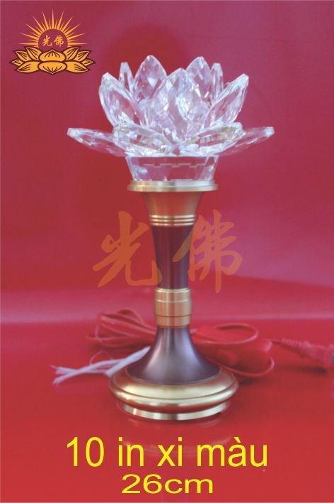 Đèn Bông Xi Màu 10in