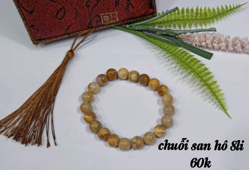 Chuỗi San Hô 8li