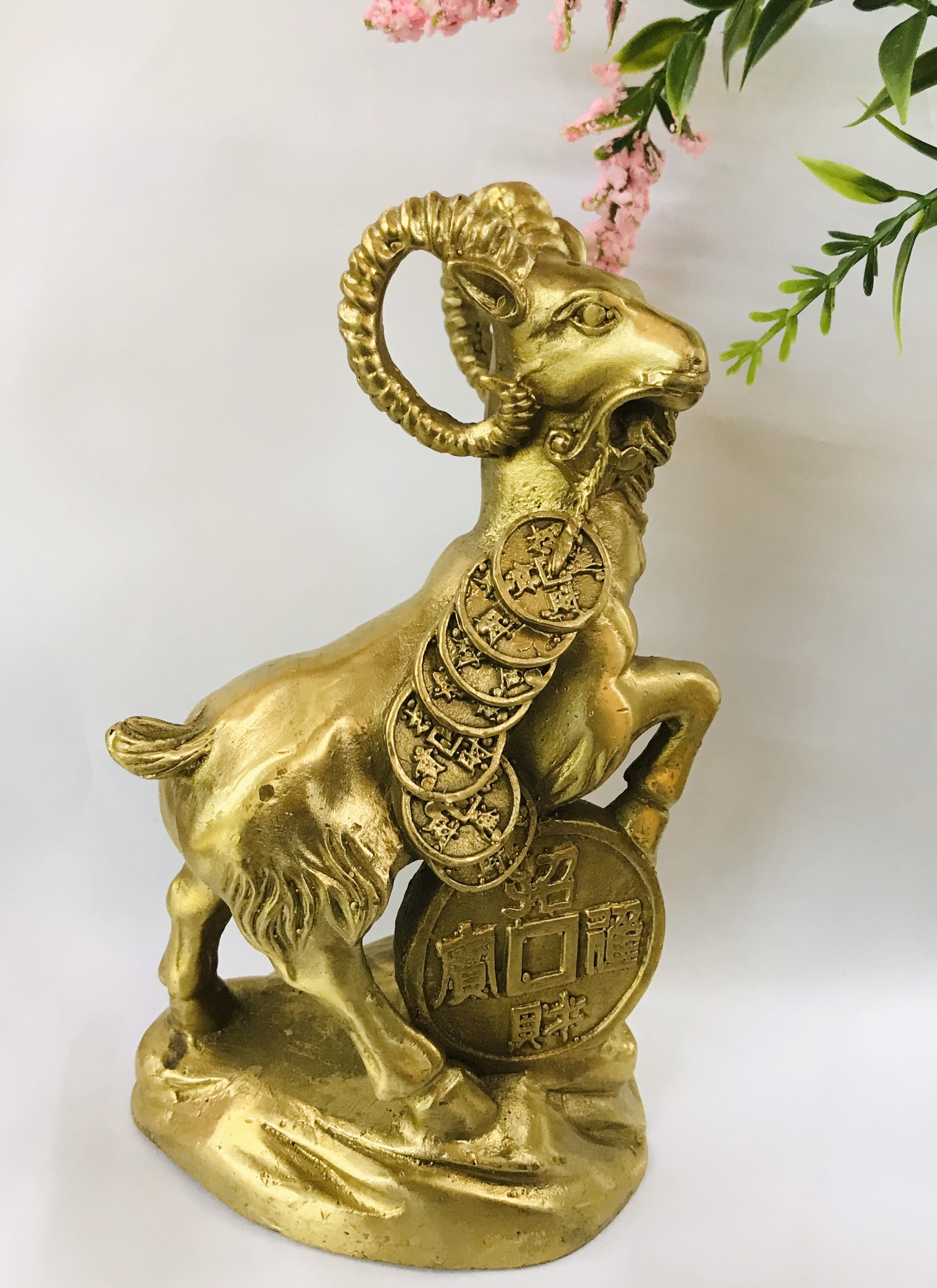 Dê Đồng Tiền Nhỏ