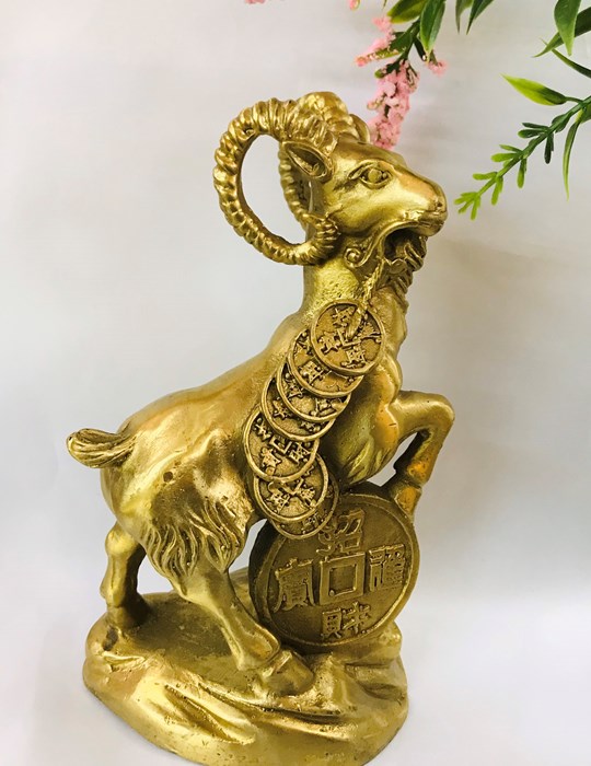 Dê Đồng Tiền Nhỏ