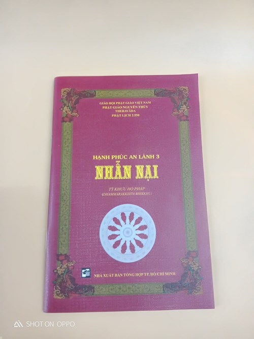 Hạnh phúc anh lành 3 - Nhẫn Nại