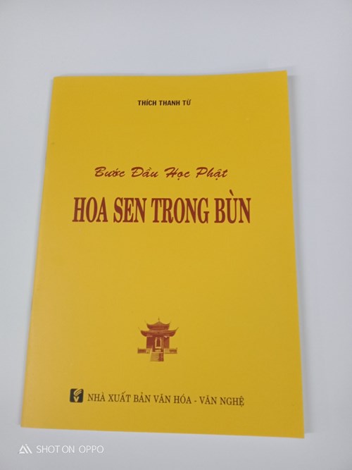 Hoa Sen Trong Bùn