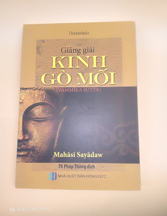 Kinh Gò Mối