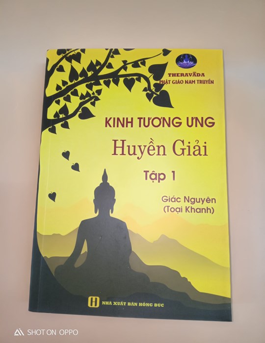 Kinh tương ưng - Huyền Giả tập 1