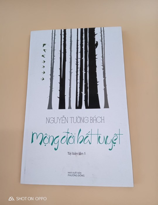 Mộng đời bất tuyệt