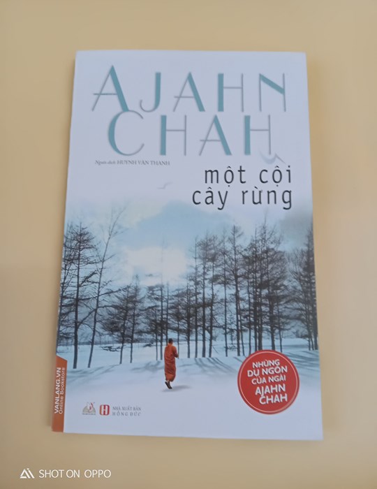 Một cội cây rừng