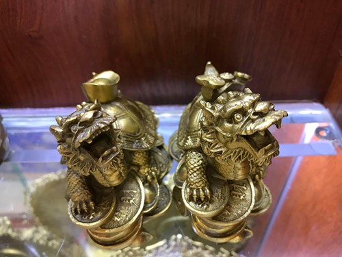 Rùa long quy trung