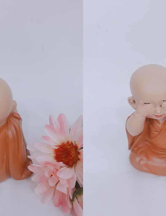 Tiểu an nhiên ms9