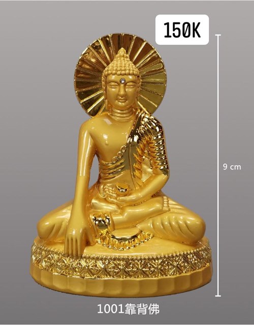 Tôn tượng để xe (MS: 1001)