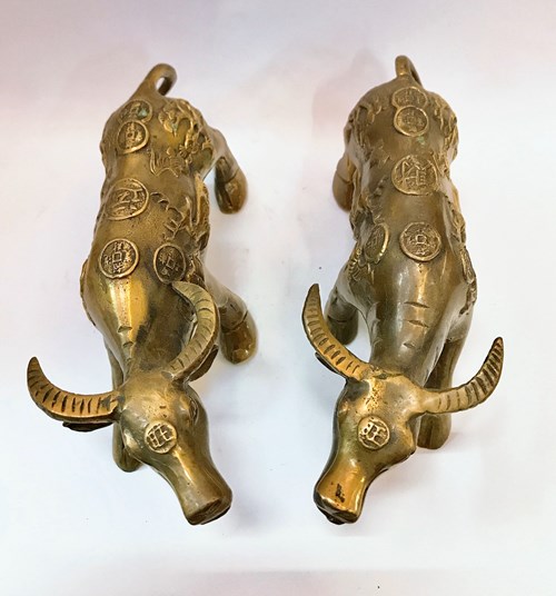 Trâu đồng tiền nhỏ